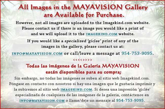 buy Maya art
