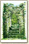 greeting cards of Caracol