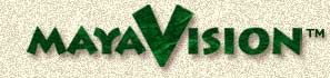 MayaVision logo